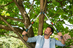Pruning Lopper TeleCut 650-900 B