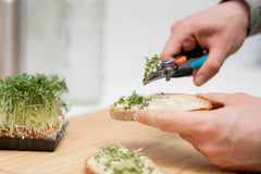 GripCut