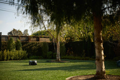 2025 SILENO flex Robotic Lawn Mower
