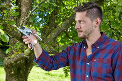 Ratchet Secateurs SmartCut Comfort